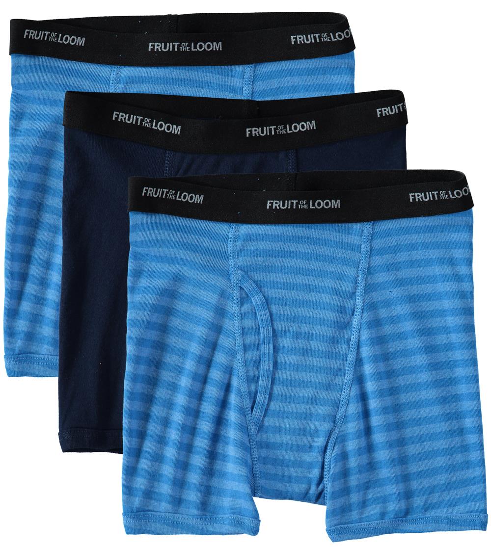  Fruit Of The Loom Mens Fashion Brief Assorted