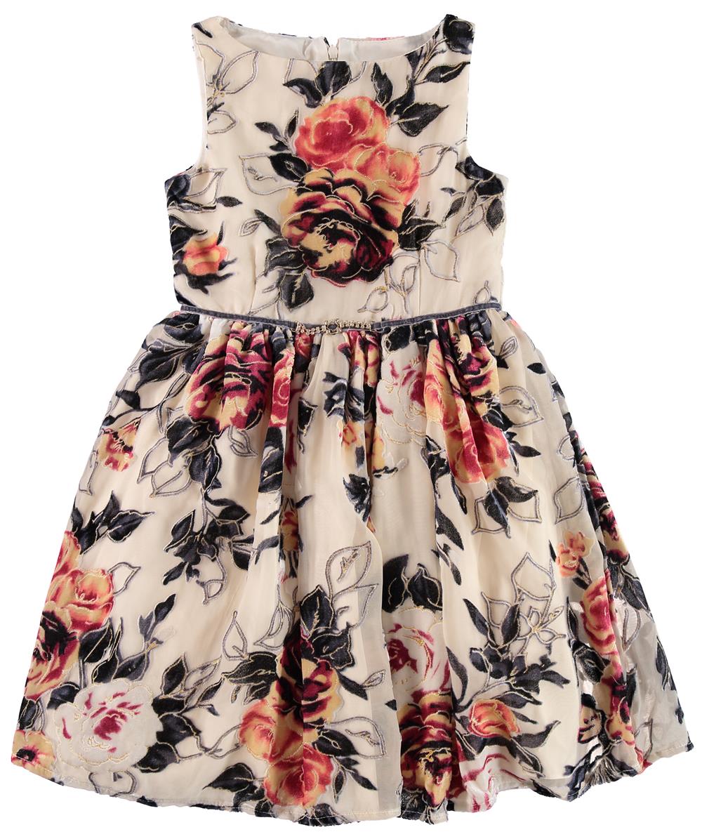 Pippa & Julie Girls' Floral Print Dress with Ruffle Sleeves - Baby